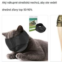 Mačacie sado-maso???