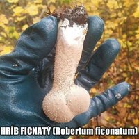 Hríbik <3