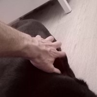 ziluvata ruka fotene zemiakom.. jaros challenge accepted.. s krizkom po funuse