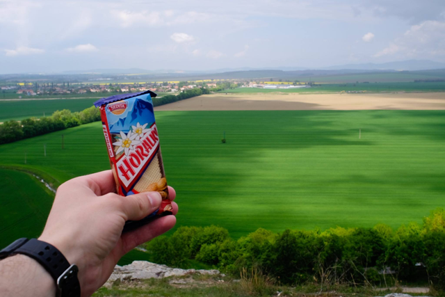 Moja verná spoločníčka ;)