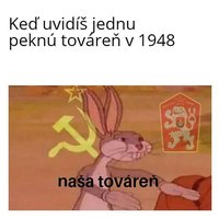 som znarodnil