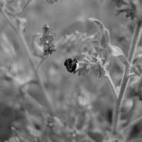 bzzzzzz