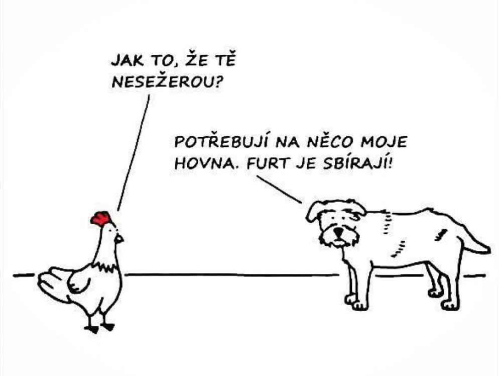 Obrázok bez popisu č.1067131