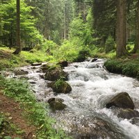 spominam na plazi, ako bolo v lesoch dobre