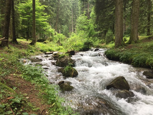 spominam na plazi, ako bolo v lesoch dobre