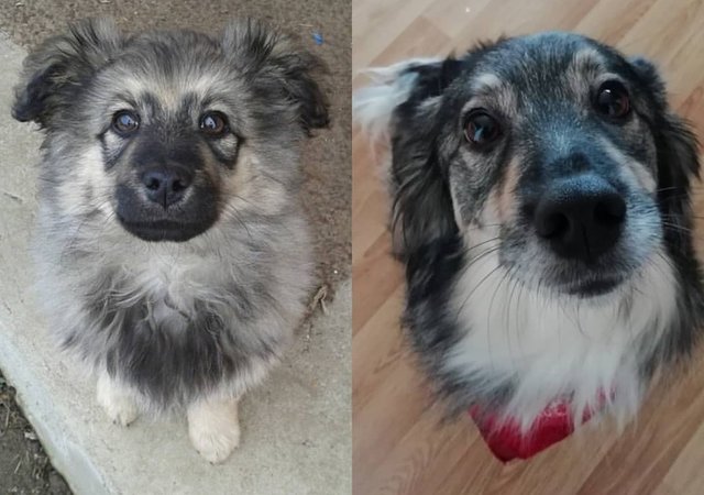 Takto mi za 4 roky vyrástla. ❤️

26.12.2014