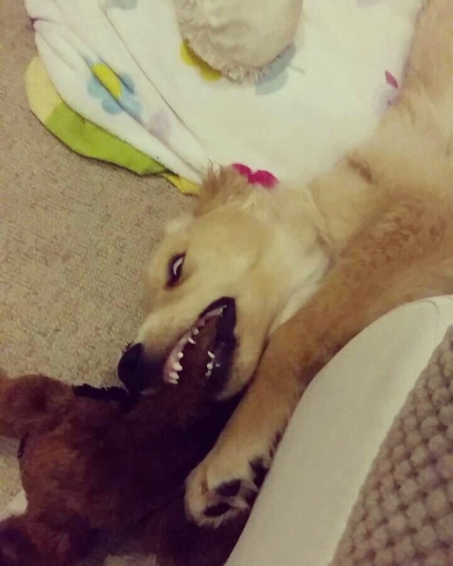 Trhačka :D