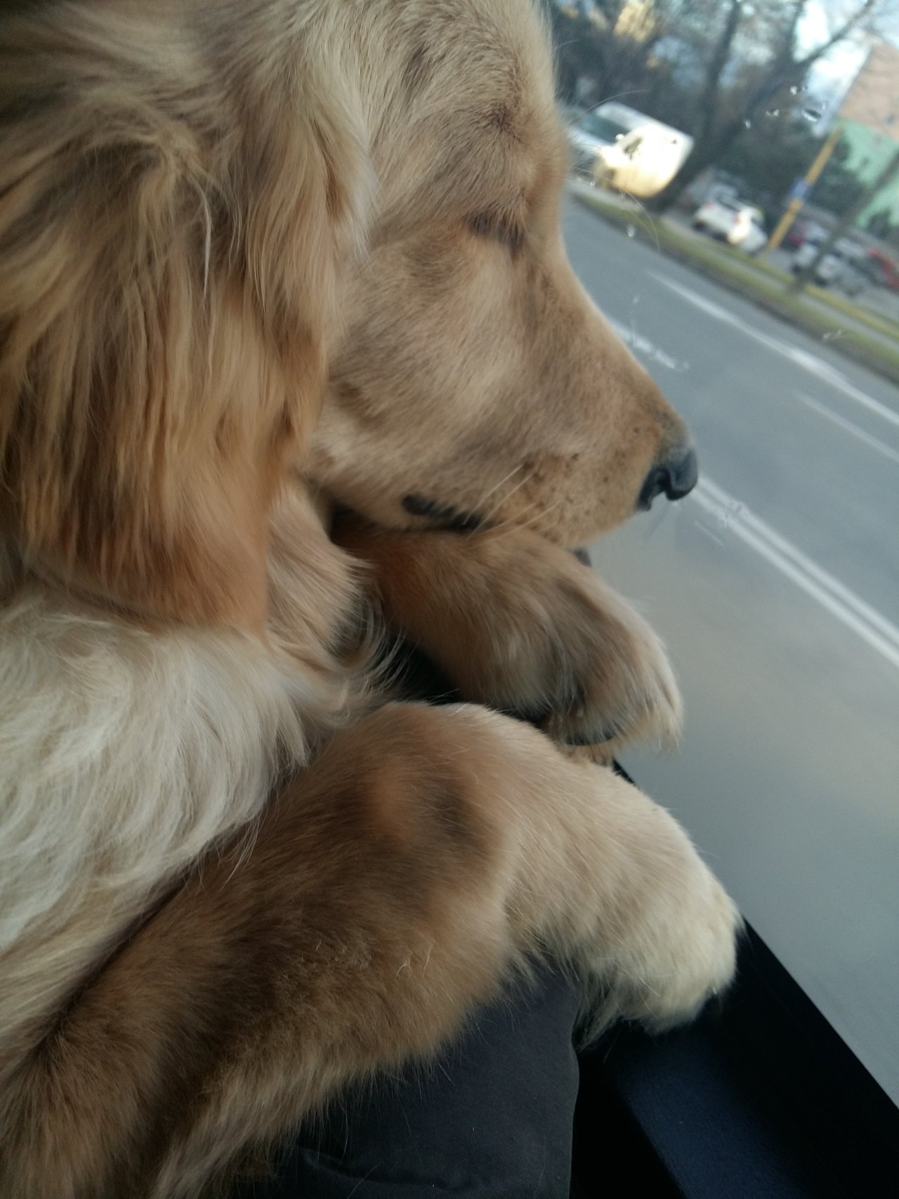 My tak pekne cestujeme :*