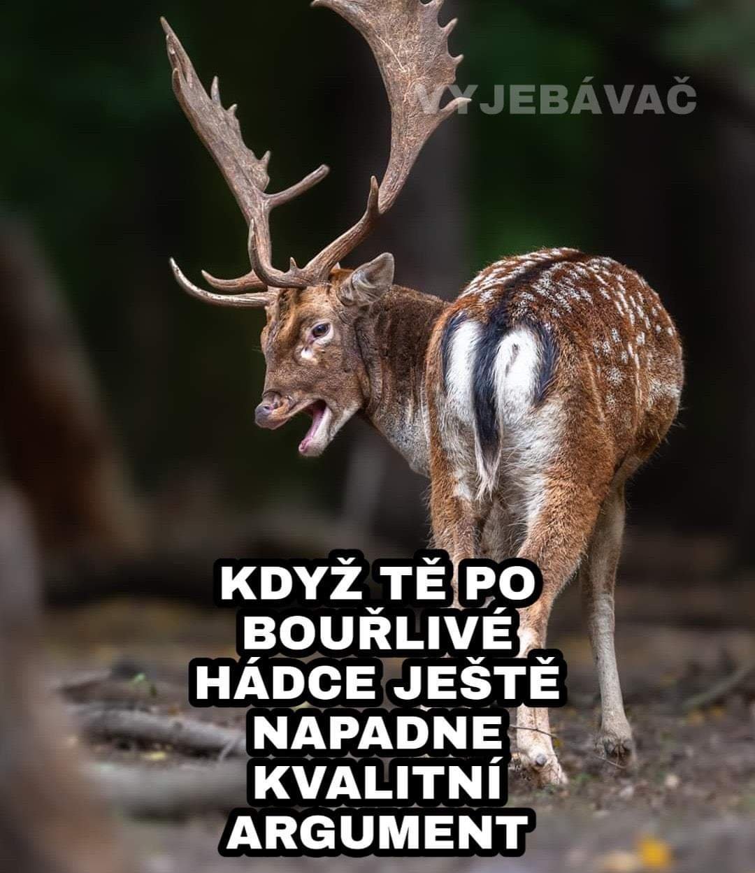 Obrázok bez popisu č.1073107