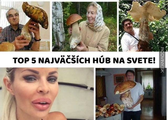 Obrázok bez popisu č.1032451