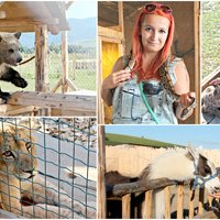 Zoo Kontakt :)
