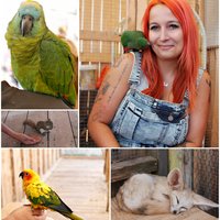 Zoo Kontakt :)