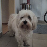 Ukážka z nezaradených obrázkov