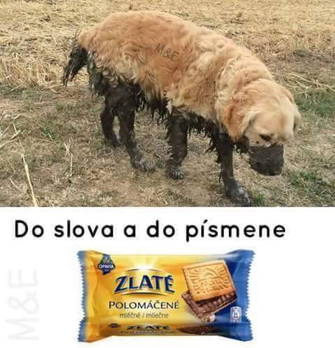 V horkej, alebo mliečnej čokoláde? :D