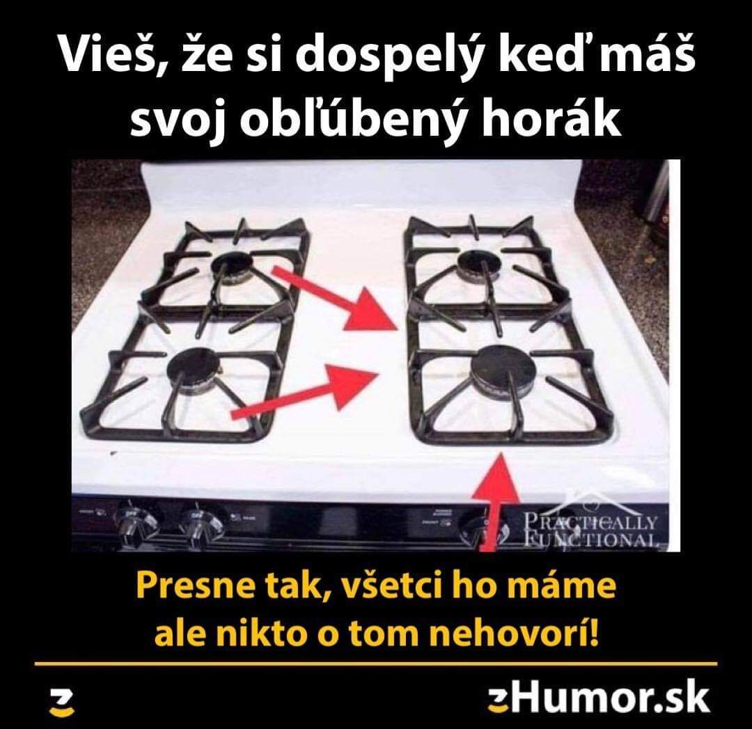 Obrázok bez popisu č.1079524