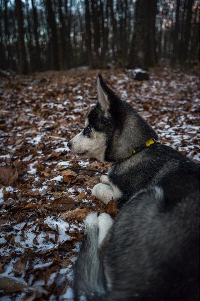 Na výlete.