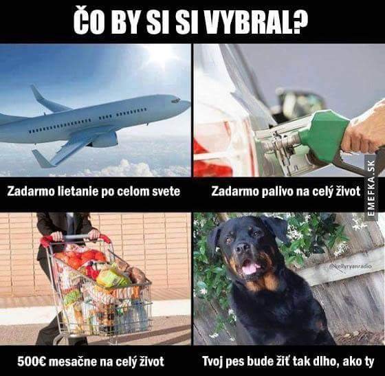 Obrázok bez popisu č.1008728