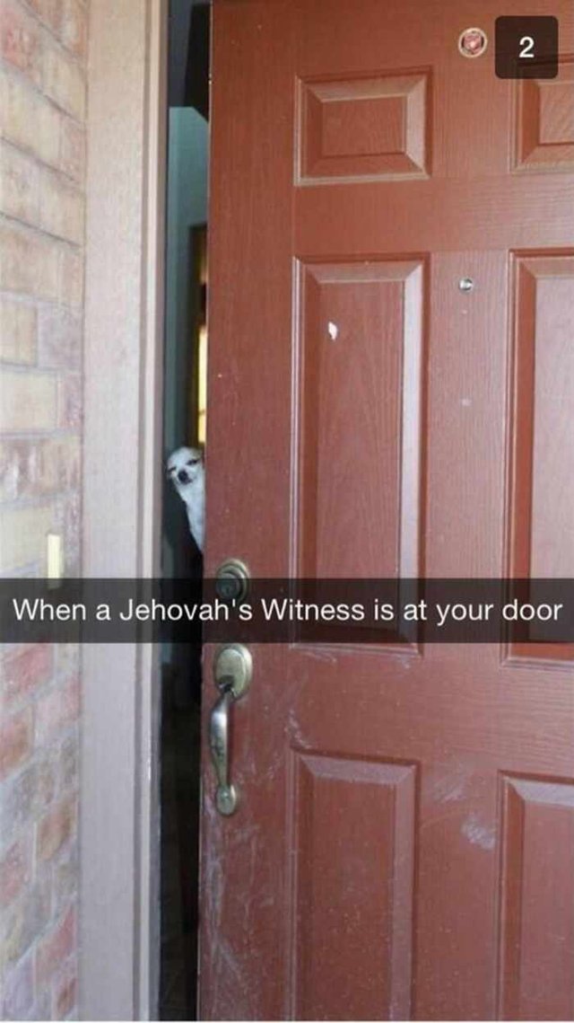 pokukajte si :D http://www.boredpanda.com/funny-dog-snapchats/ a pobavte sa :D 