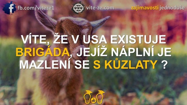 Robota pre mna :D  taka praca by ma robila stastnou ^^