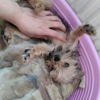 Takéto maznadlo mám ja doma :D ^_^ :*