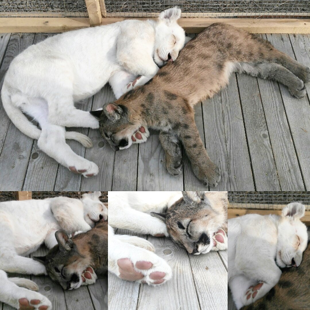 Awwww ^^