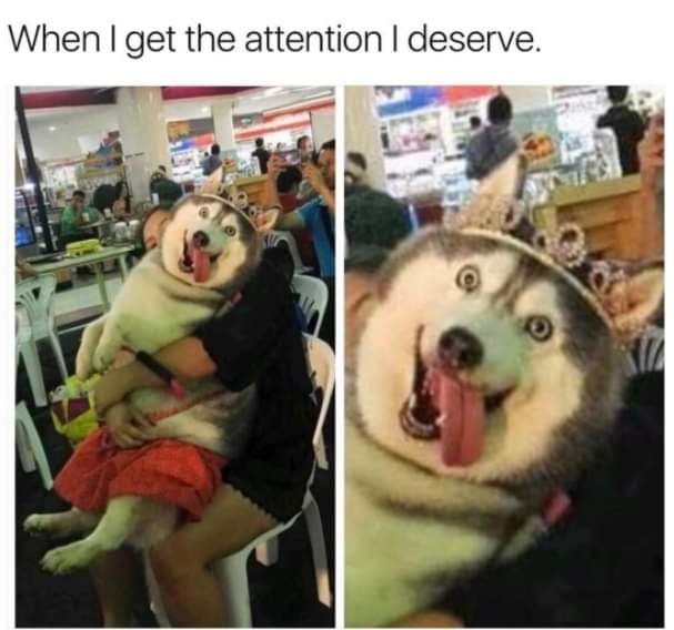 :P