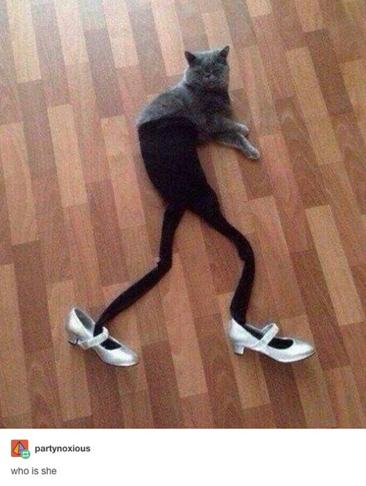 xD