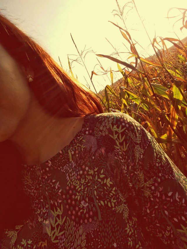 My little garden of eden ^_^