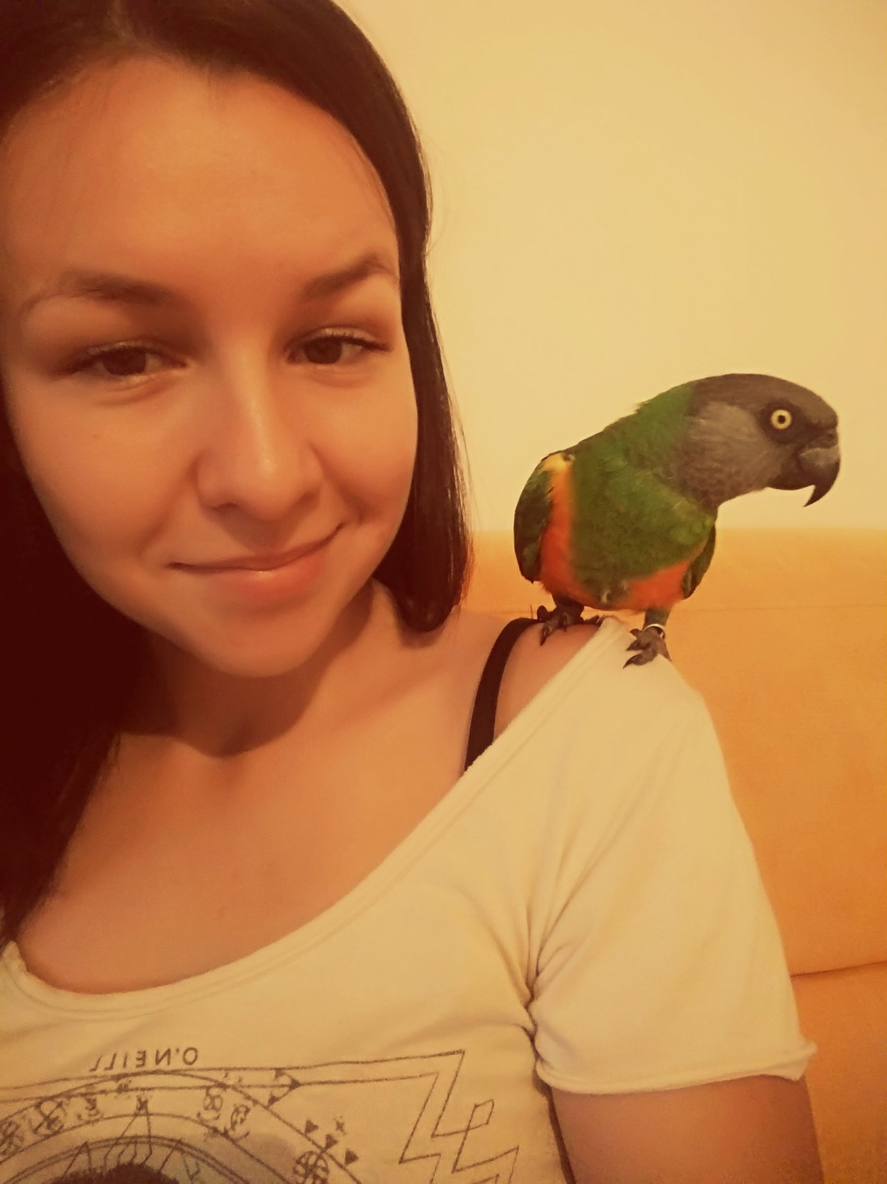 Moja pipinka :) birdzaci, viac fotiek s tymito okridlenymi satanmi, poprosím! :) Potešte ma trošku :)