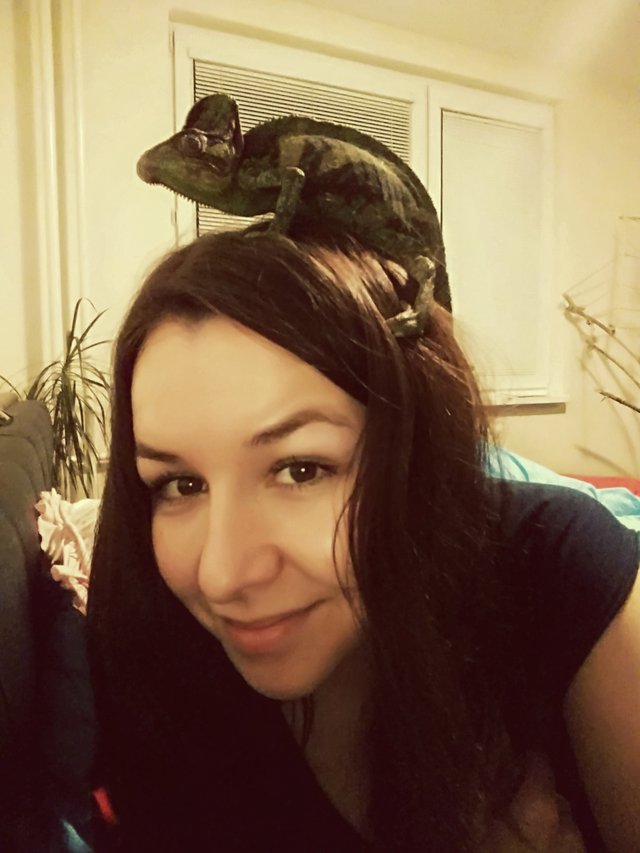 Chosé je nasratý, lebo sme ďalšiu chlpatu, štvornohu potvoru nasťahovali do bytu, bez jeho súhlasu. Tak len syčí a nafukuje sa, plus tie temné farby, respectnigga :'D
