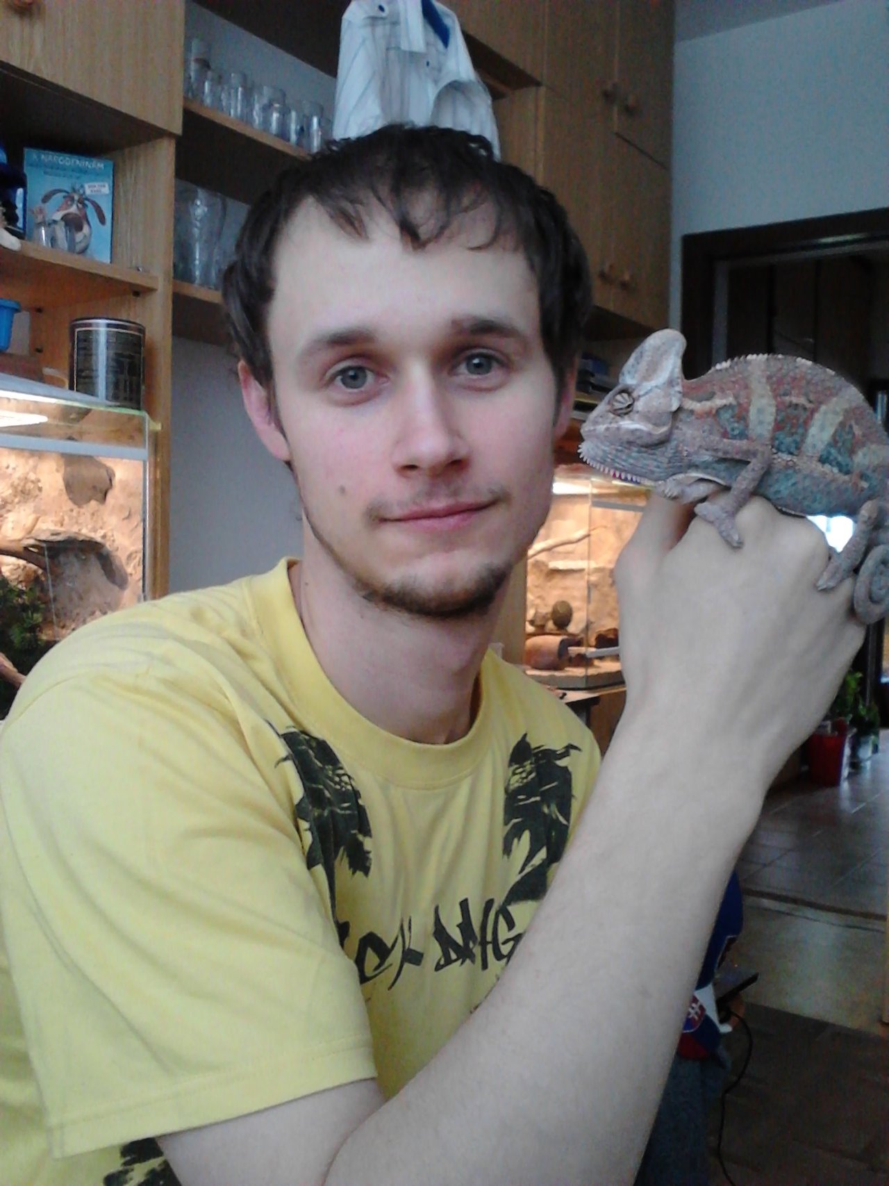 nadurdený chameleon