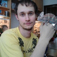 nadurdený chameleon