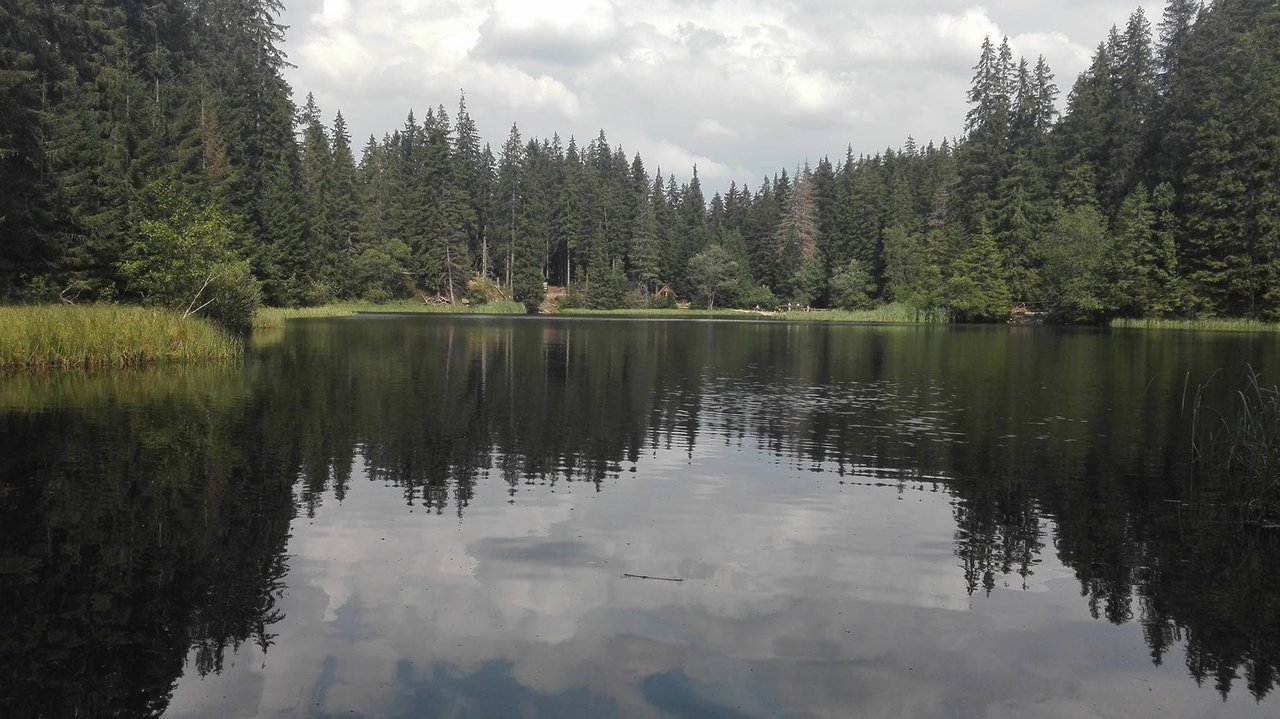 Vrbické pleso 