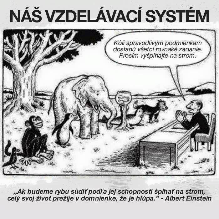 Obrázok bez popisu č.1019867