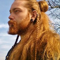 Viking 