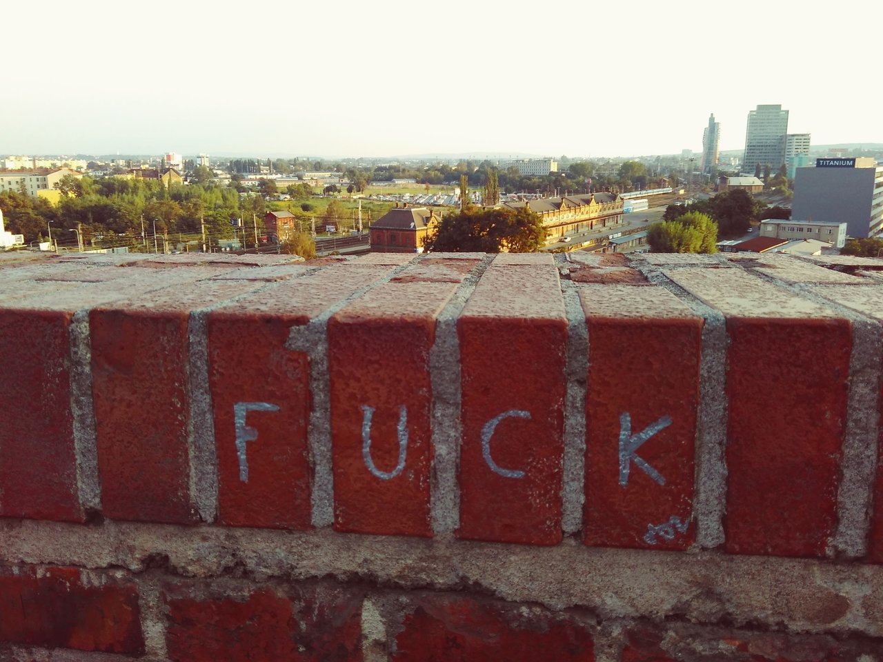 Brno a jeho názor. 