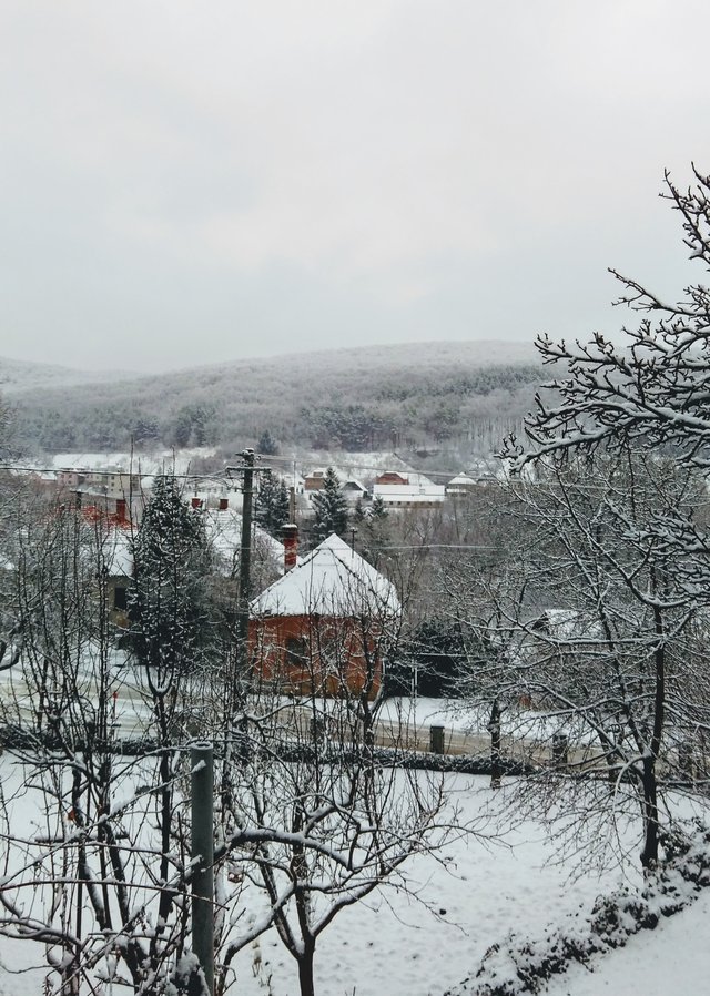 snehovo.
