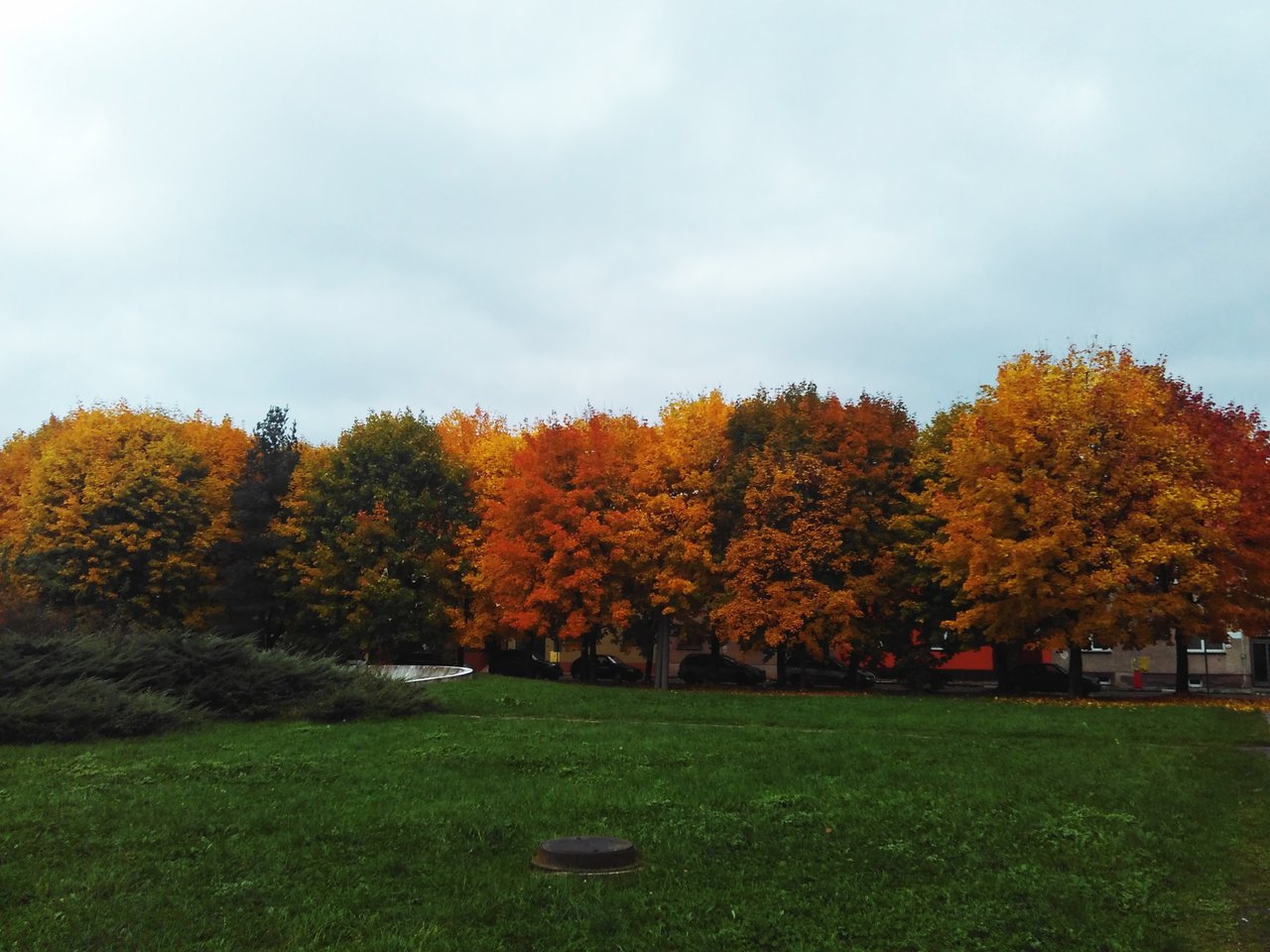 počadcie