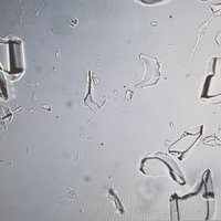 Kviz! Co je na tejto fotke?
Najkonkretnejsi popis vyhrava bludistaka, najzabavnejsi moje sympatie.
(Okrem toho, ze je to vizual mojich najblizsich 2 mesiacov v praci, hej.)