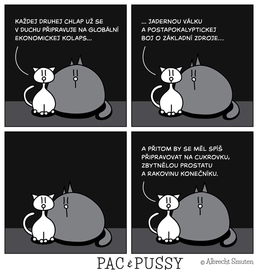 Venovane podaktorym muzom birdzu.