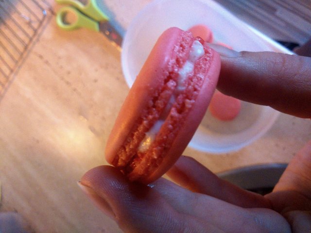 Macaron <3