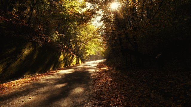 cestou necestou, hore Brezinou