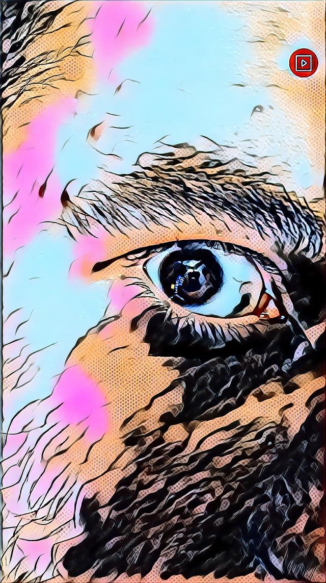 2ce